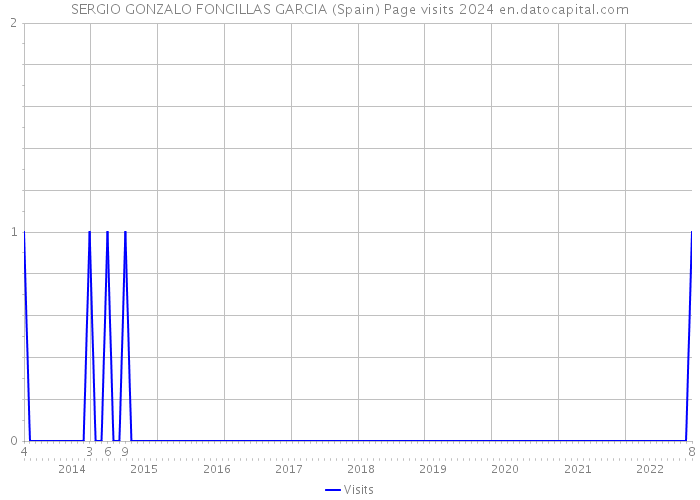 SERGIO GONZALO FONCILLAS GARCIA (Spain) Page visits 2024 