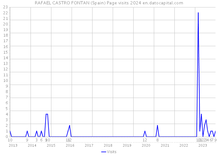RAFAEL CASTRO FONTAN (Spain) Page visits 2024 