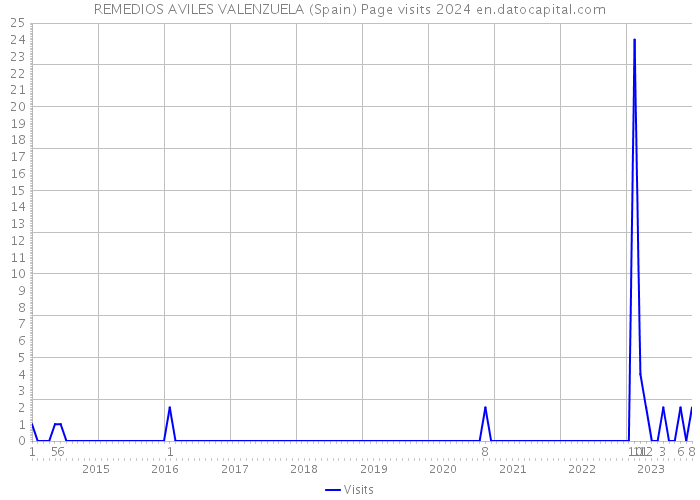 REMEDIOS AVILES VALENZUELA (Spain) Page visits 2024 