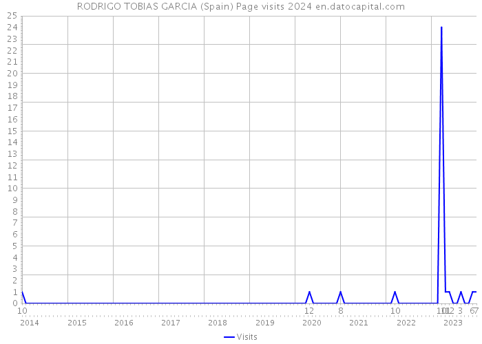 RODRIGO TOBIAS GARCIA (Spain) Page visits 2024 