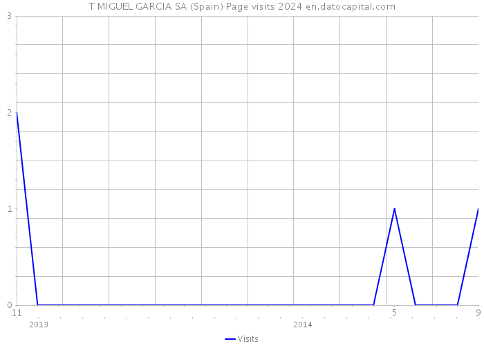 T MIGUEL GARCIA SA (Spain) Page visits 2024 