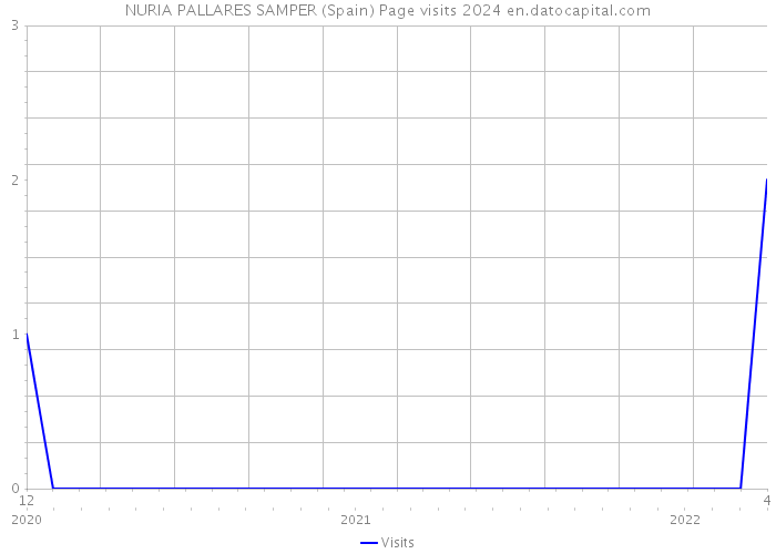 NURIA PALLARES SAMPER (Spain) Page visits 2024 