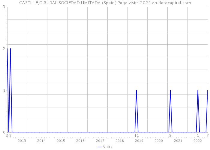 CASTILLEJO RURAL SOCIEDAD LIMITADA (Spain) Page visits 2024 
