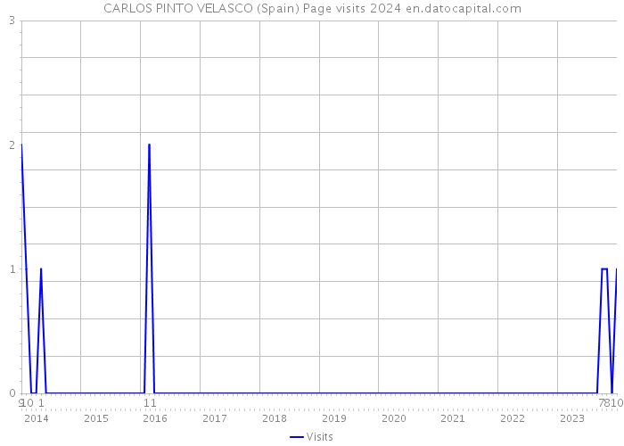 CARLOS PINTO VELASCO (Spain) Page visits 2024 