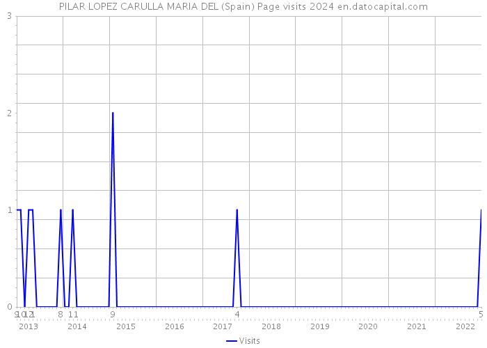 PILAR LOPEZ CARULLA MARIA DEL (Spain) Page visits 2024 