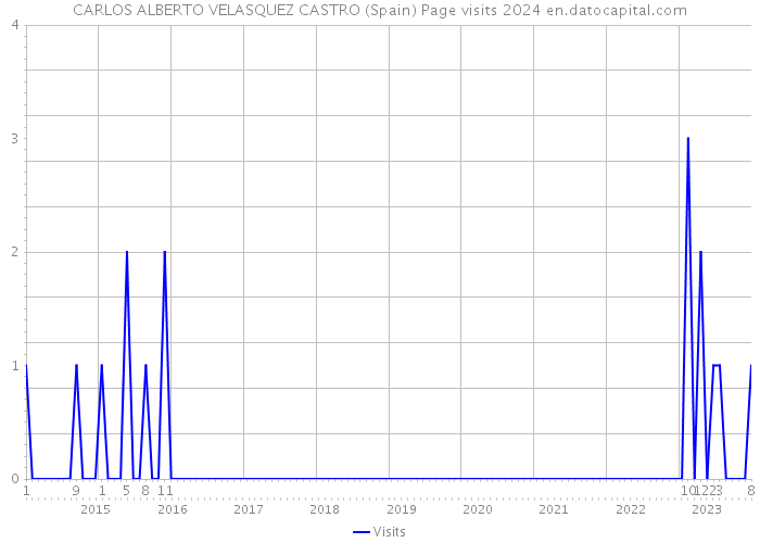 CARLOS ALBERTO VELASQUEZ CASTRO (Spain) Page visits 2024 