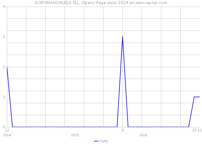 AGROMANCHUELA SLL. (Spain) Page visits 2024 