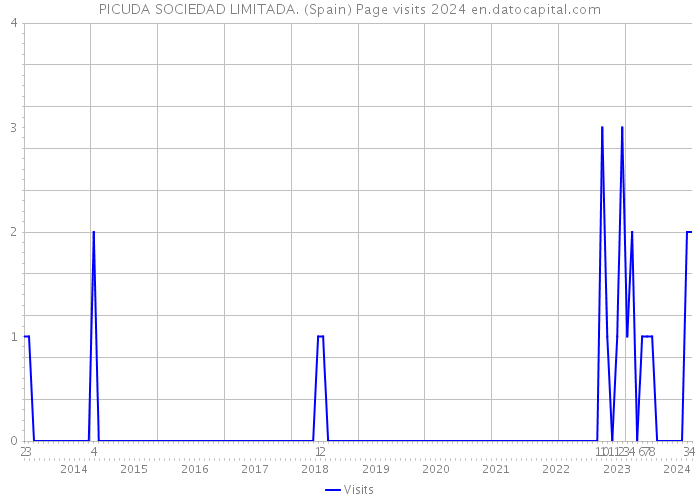 PICUDA SOCIEDAD LIMITADA. (Spain) Page visits 2024 