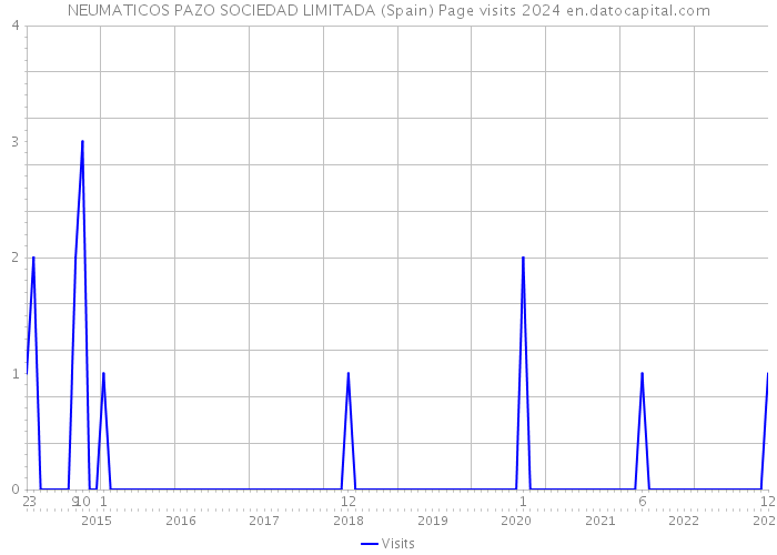 NEUMATICOS PAZO SOCIEDAD LIMITADA (Spain) Page visits 2024 