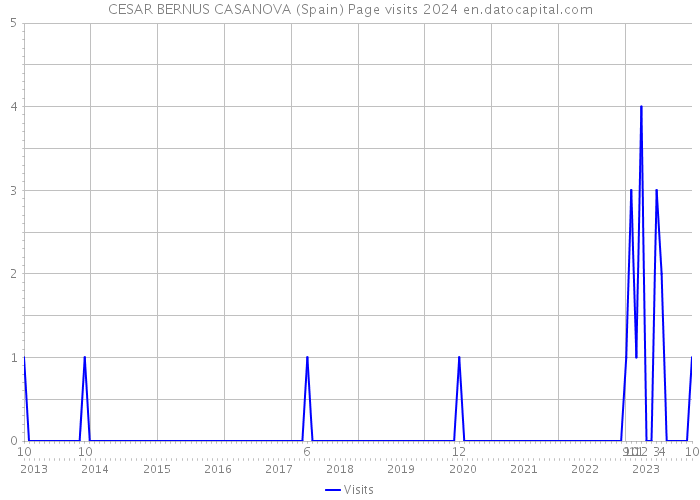 CESAR BERNUS CASANOVA (Spain) Page visits 2024 