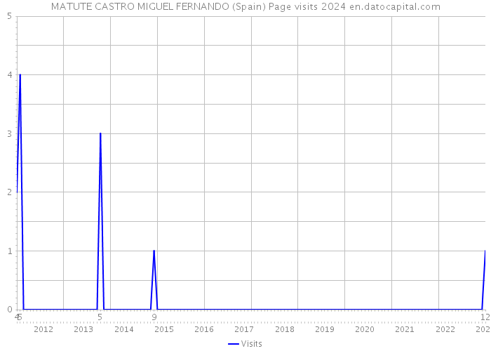 MATUTE CASTRO MIGUEL FERNANDO (Spain) Page visits 2024 