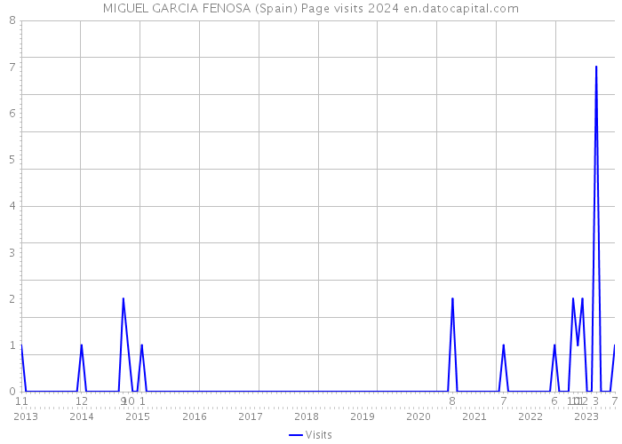 MIGUEL GARCIA FENOSA (Spain) Page visits 2024 
