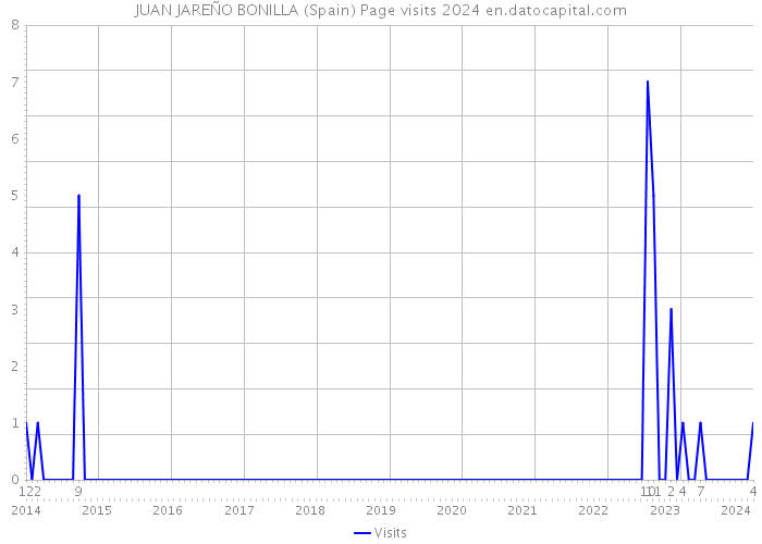 JUAN JAREÑO BONILLA (Spain) Page visits 2024 