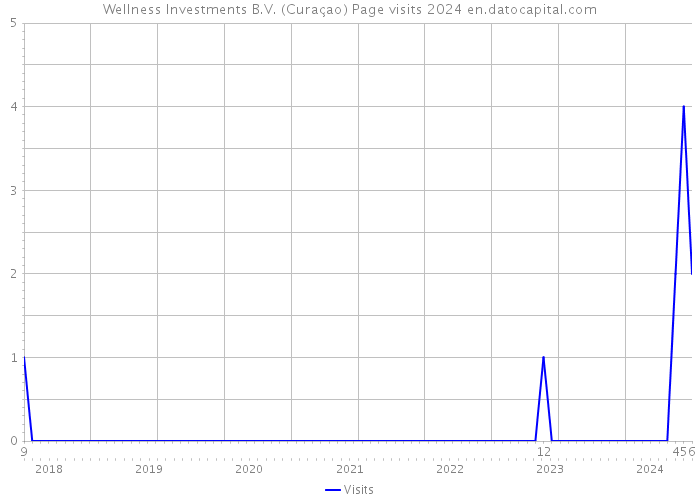 Wellness Investments B.V. (Curaçao) Page visits 2024 