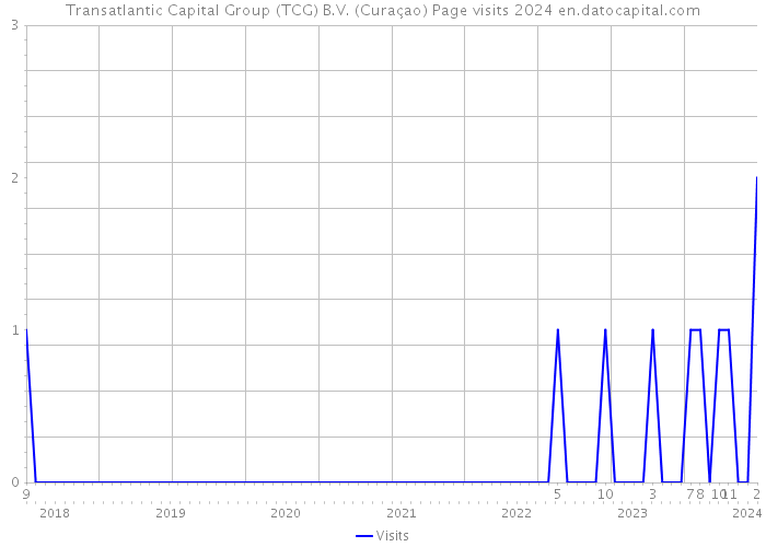 Transatlantic Capital Group (TCG) B.V. (Curaçao) Page visits 2024 