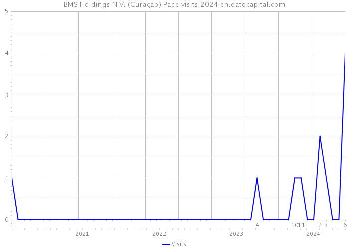 BMS Holdings N.V. (Curaçao) Page visits 2024 