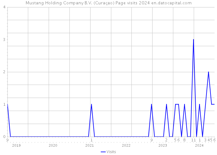 Mustang Holding Company B.V. (Curaçao) Page visits 2024 