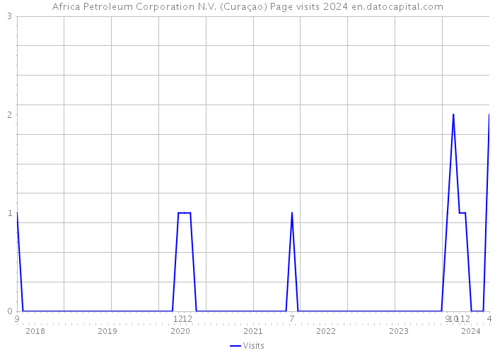 Africa Petroleum Corporation N.V. (Curaçao) Page visits 2024 