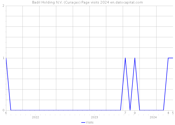 Badil Holding N.V. (Curaçao) Page visits 2024 