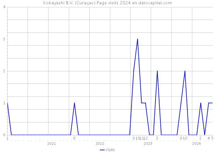 Kobayashi B.V. (Curaçao) Page visits 2024 