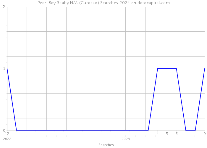 Pearl Bay Realty N.V. (Curaçao) Searches 2024 