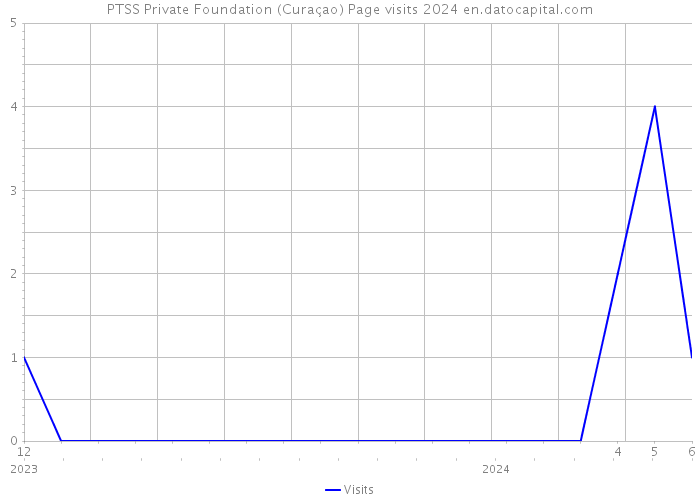 PTSS Private Foundation (Curaçao) Page visits 2024 