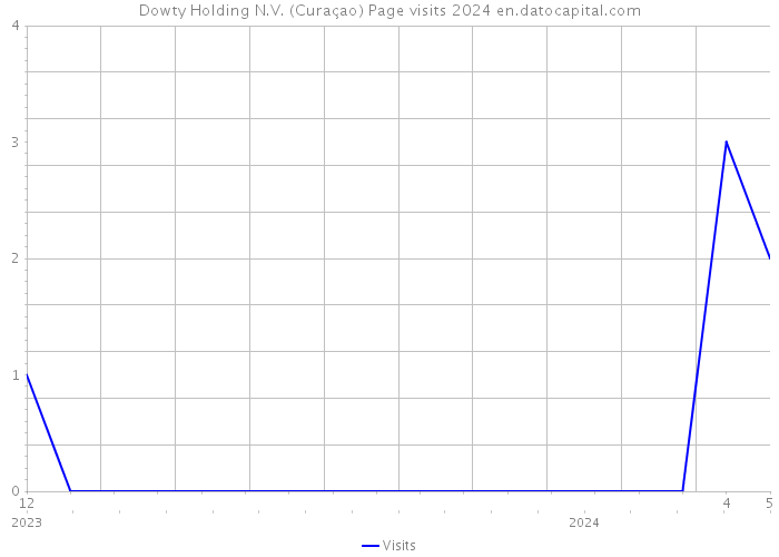 Dowty Holding N.V. (Curaçao) Page visits 2024 
