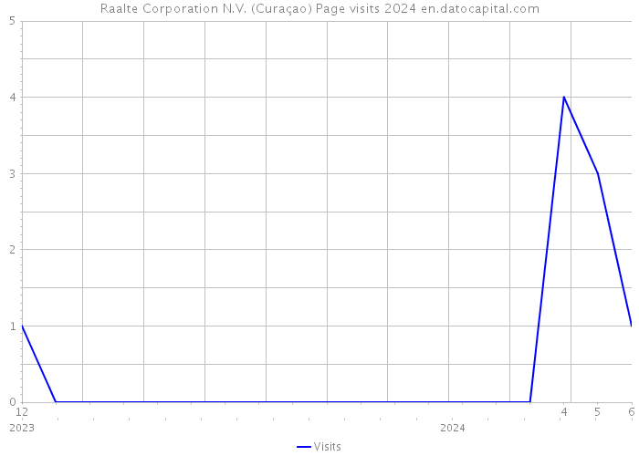 Raalte Corporation N.V. (Curaçao) Page visits 2024 