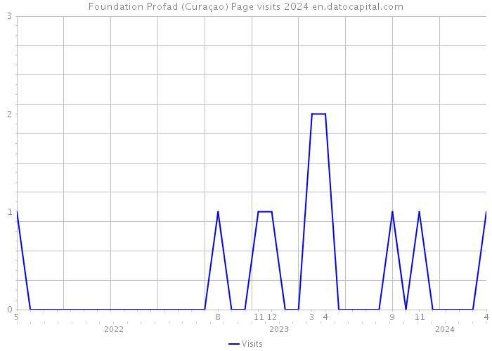Foundation Profad (Curaçao) Page visits 2024 