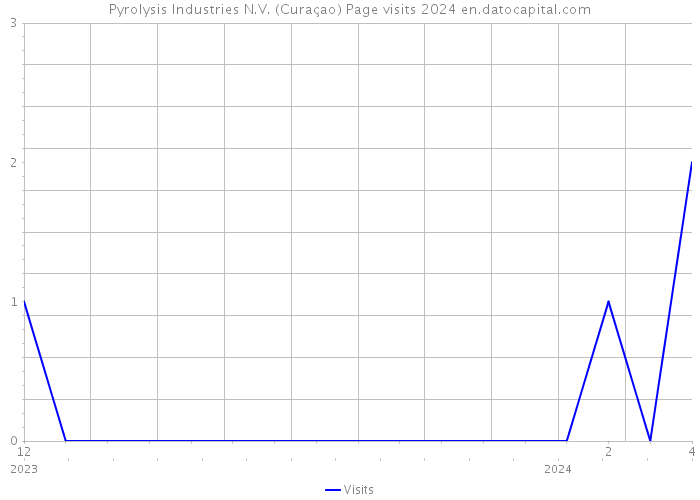 Pyrolysis Industries N.V. (Curaçao) Page visits 2024 