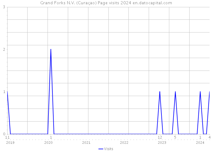 Grand Forks N.V. (Curaçao) Page visits 2024 
