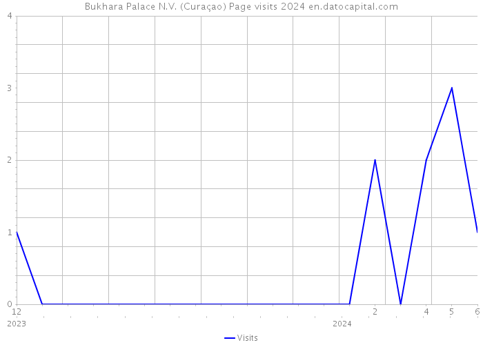 Bukhara Palace N.V. (Curaçao) Page visits 2024 