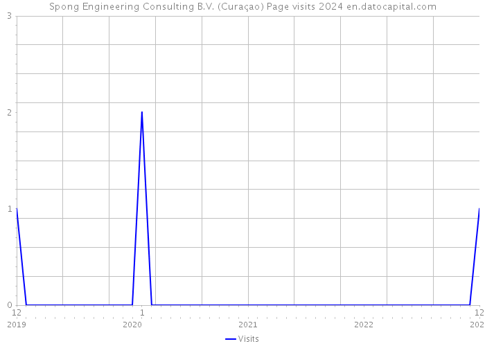 Spong Engineering Consulting B.V. (Curaçao) Page visits 2024 