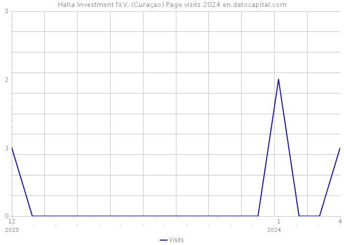 Haha Investment N.V. (Curaçao) Page visits 2024 
