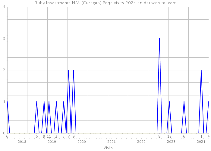 Ruby Investments N.V. (Curaçao) Page visits 2024 
