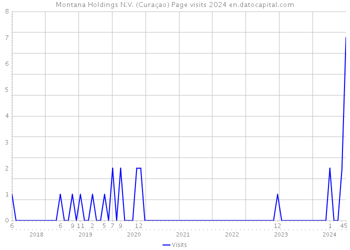 Montana Holdings N.V. (Curaçao) Page visits 2024 