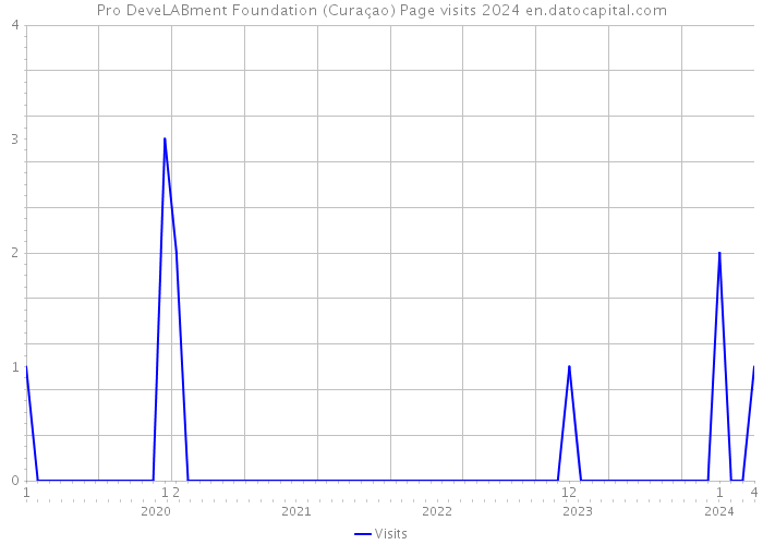 Pro DeveLABment Foundation (Curaçao) Page visits 2024 
