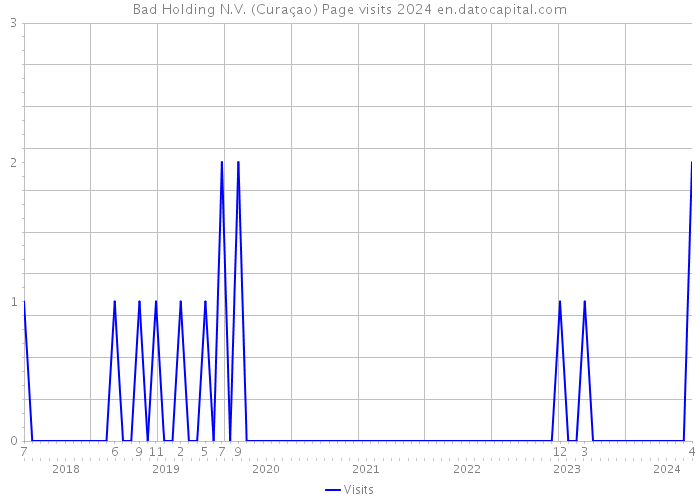 Bad Holding N.V. (Curaçao) Page visits 2024 