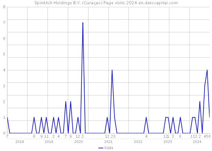 Spinkhill Holdings B.V. (Curaçao) Page visits 2024 