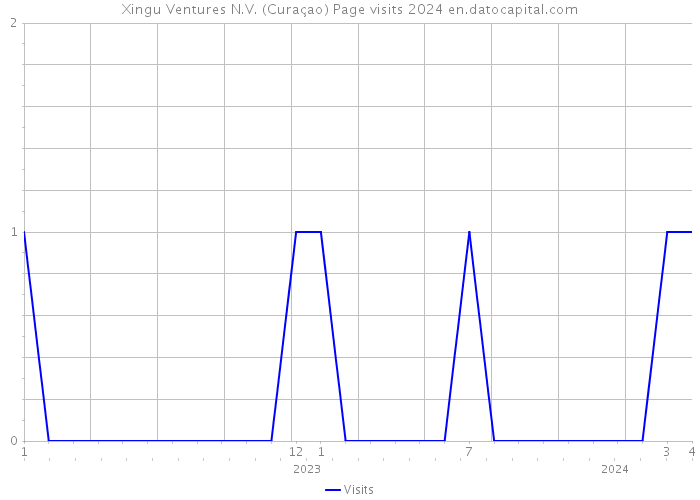 Xingu Ventures N.V. (Curaçao) Page visits 2024 