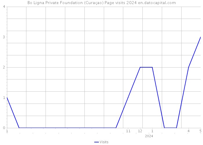 Bo Ligna Private Foundation (Curaçao) Page visits 2024 