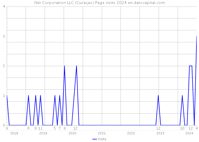 Net Corporation LLC (Curaçao) Page visits 2024 