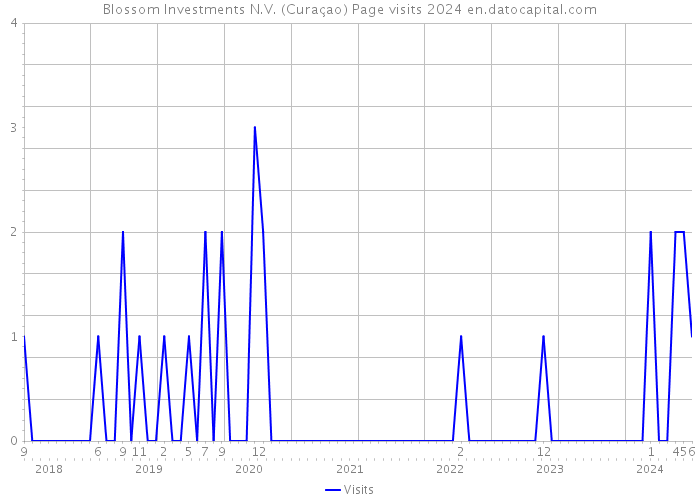 Blossom Investments N.V. (Curaçao) Page visits 2024 