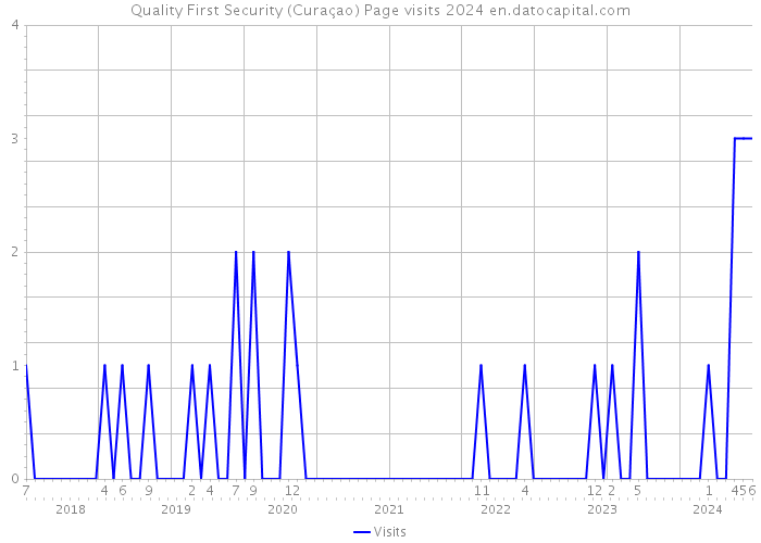 Quality First Security (Curaçao) Page visits 2024 