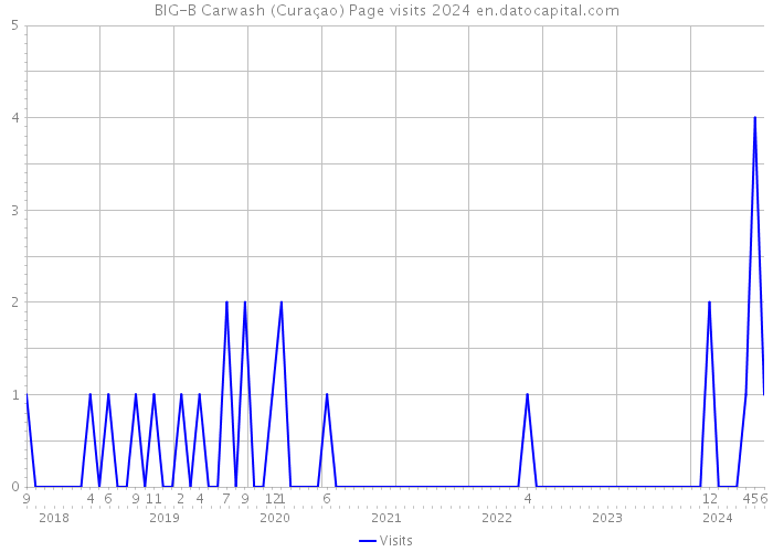 BIG-B Carwash (Curaçao) Page visits 2024 