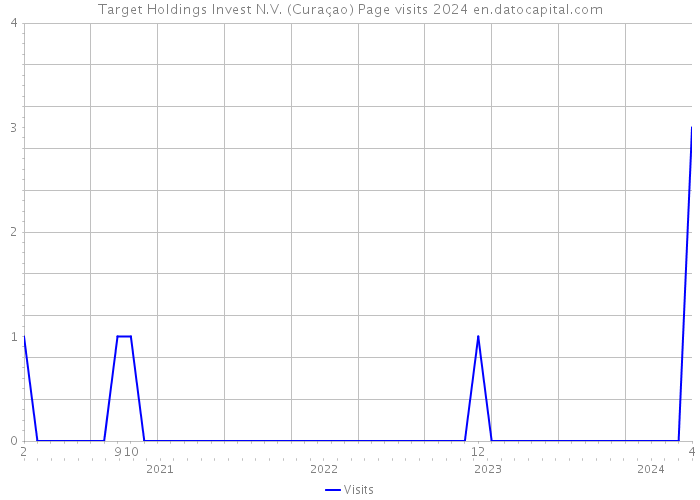 Target Holdings Invest N.V. (Curaçao) Page visits 2024 