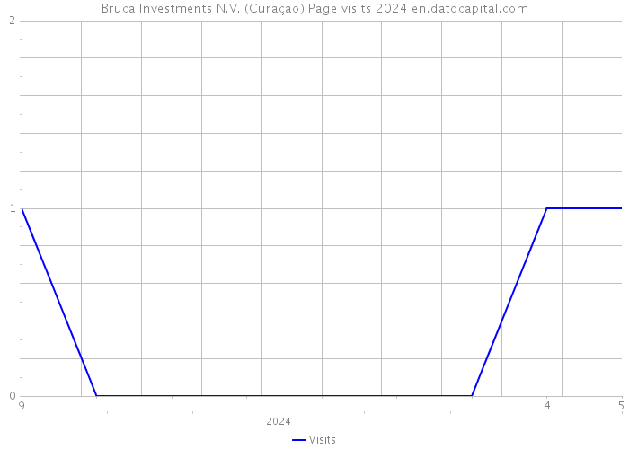 Bruca Investments N.V. (Curaçao) Page visits 2024 