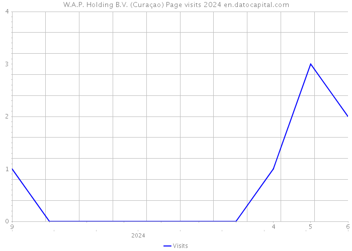 W.A.P. Holding B.V. (Curaçao) Page visits 2024 