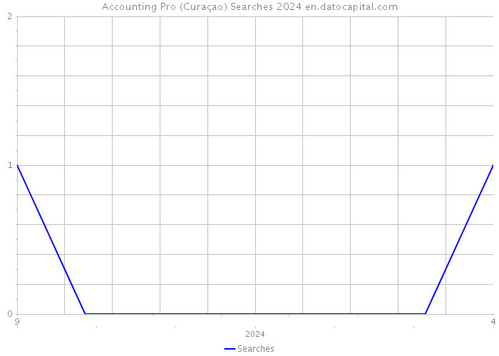 Accounting Pro (Curaçao) Searches 2024 