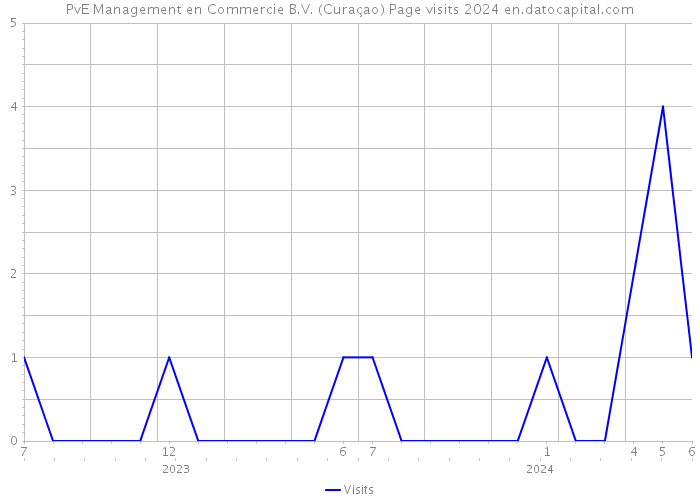 PvE Management en Commercie B.V. (Curaçao) Page visits 2024 